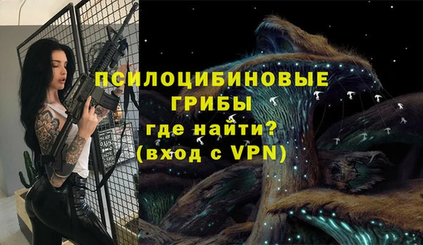 винт Гусев