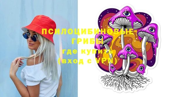винт Гусев
